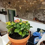 Casa Da Curva * Mendiga