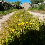 Feriehus Casa Da Curva