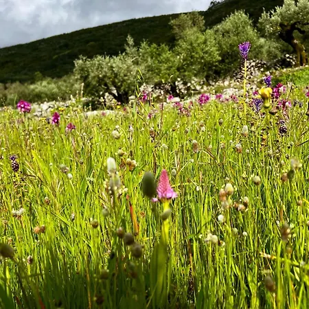 Semesterbostad Casa Da Curva Mendiga