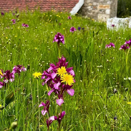 Semesterbostad Casa Da Curva *