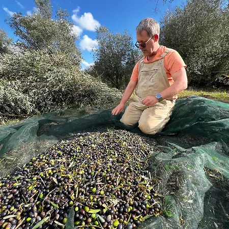 Casa Da Curva Semesterbostad Mendiga