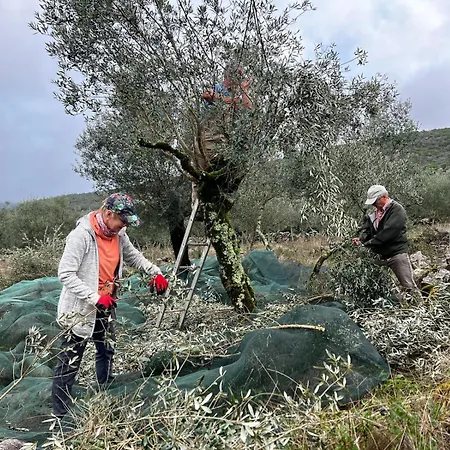 Casa Da Curva Дом отдыха *
