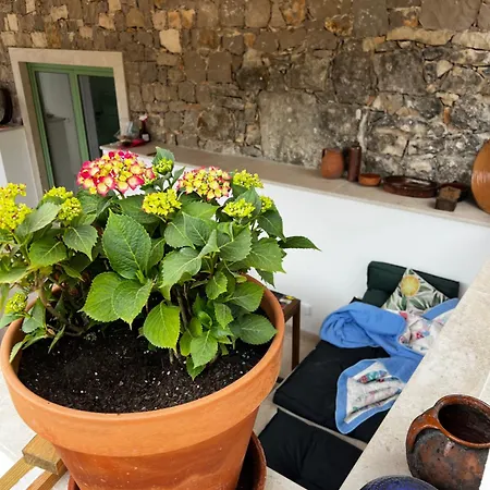 Semesterbostad Casa Da Curva Mendiga