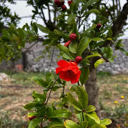 Casa Da Curva * Mendiga