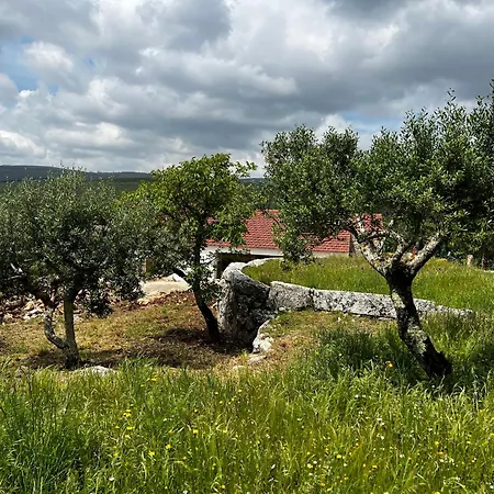 Dom wakacyjny Casa Da Curva