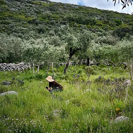 Casa Da Curva Semesterbostad