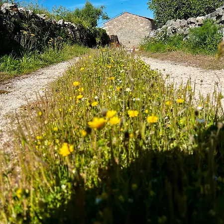 Hébergement de vacances Casa Da Curva