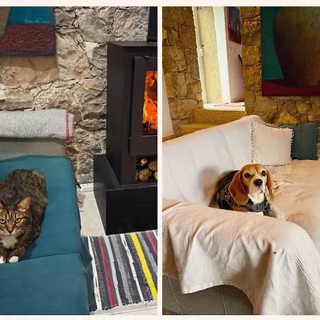Casa Da Curva * Mendiga