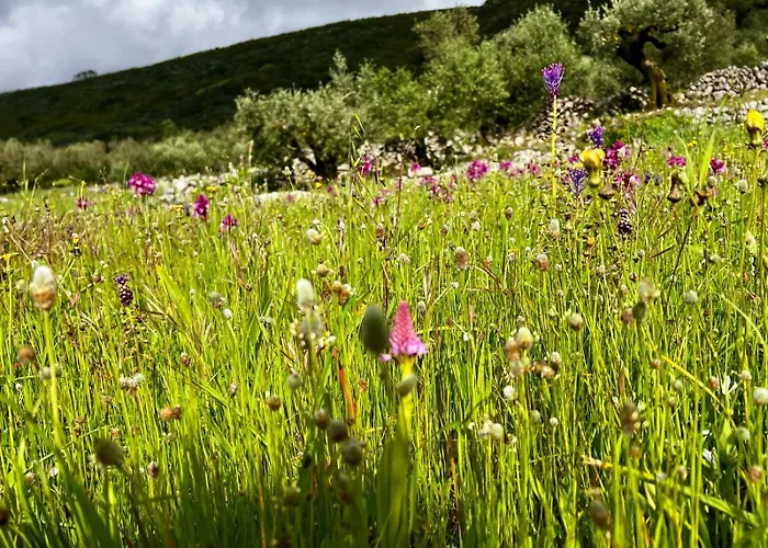 Vakantiehuis Casa Da Curva Mendiga
