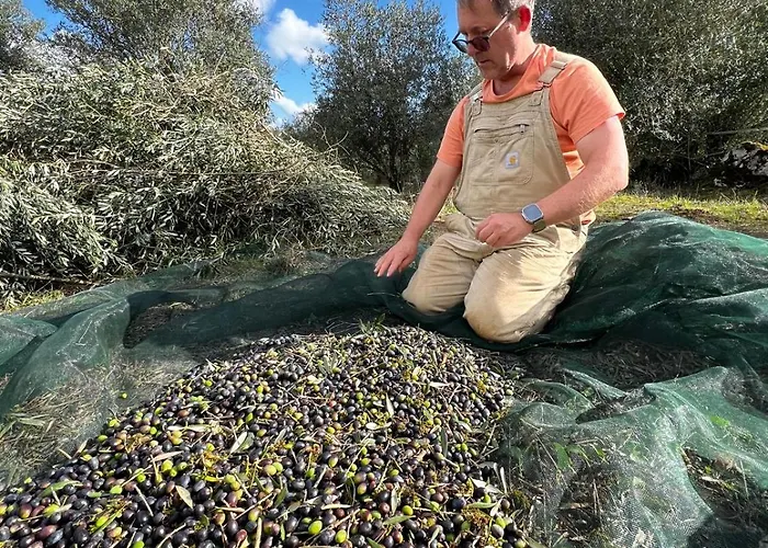 Casa Da Curva Vakantiehuis Mendiga