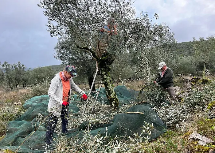 Casa Da Curva Vakantiehuis *