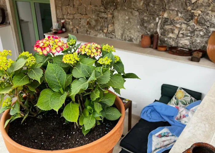 Vakantiehuis Casa Da Curva Mendiga