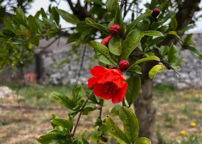 Casa Da Curva * Mendiga