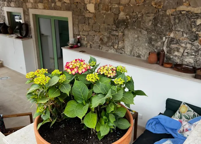 Casa Da Curva * Mendiga