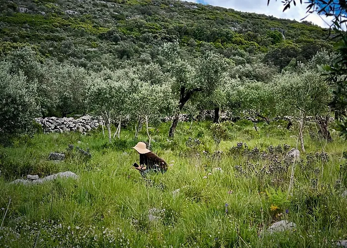 Casa Da Curva Dom wakacyjny