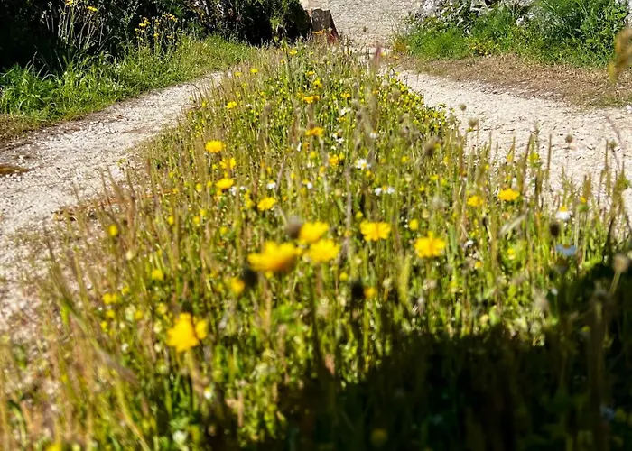 Dom wakacyjny Casa Da Curva